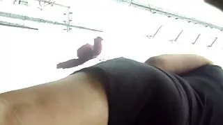 操作員與他的朋友亂搞廉價的蕩婦色情片