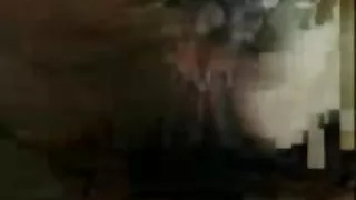 艾爾達克對濕貓的辣妹色情
